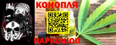 мдпв Бийск