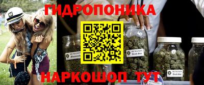 мдпв Бийск