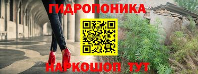 мдпв Бийск